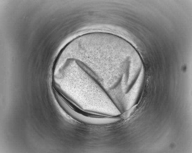 X0000098221523200805221637