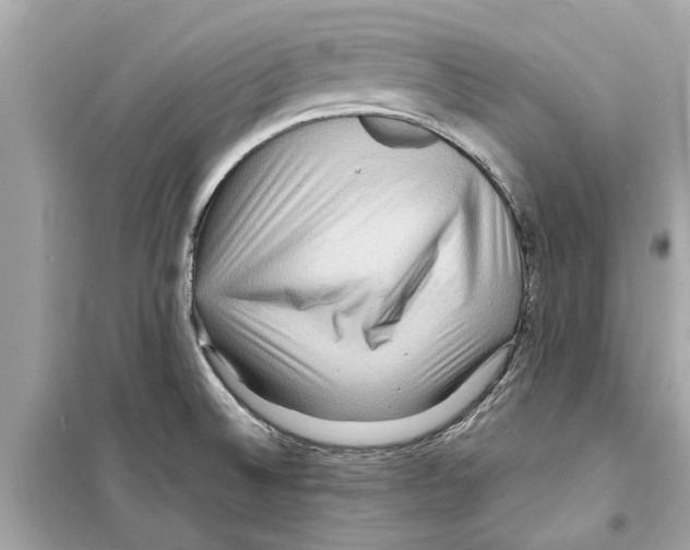 X0000098221524200805221637