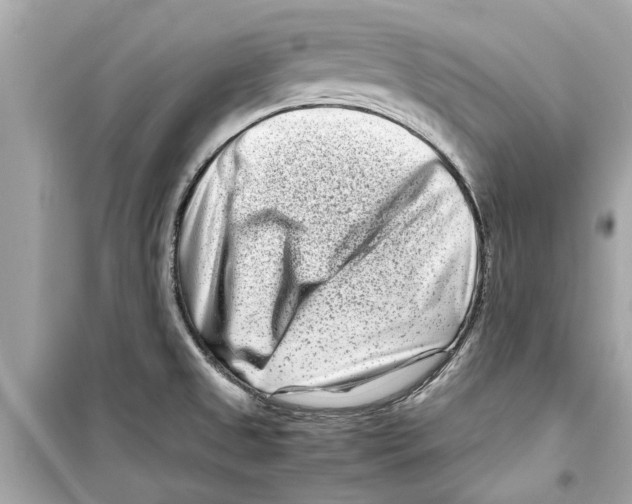 X0000098221525200805221637