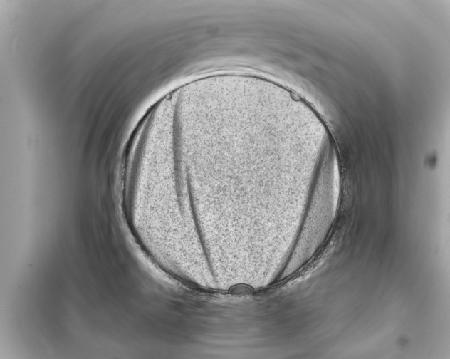 X0000098221526200805221637