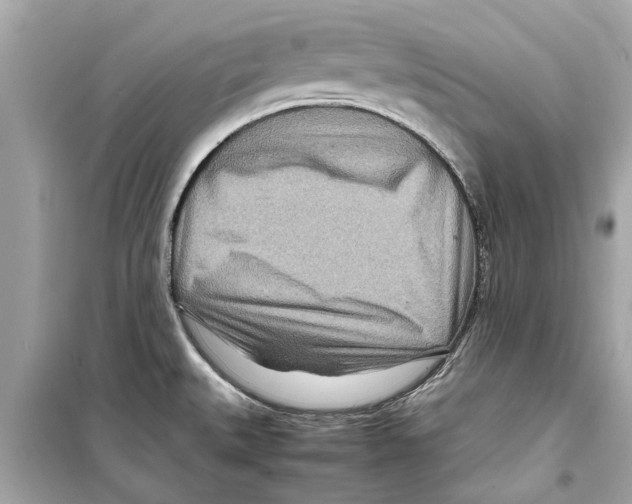 X0000098221527200805221638