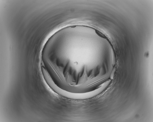 X0000098221528200805221638