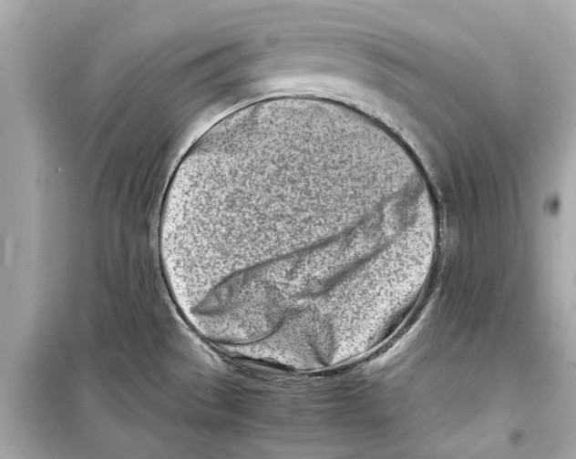 X0000098221529200805221638