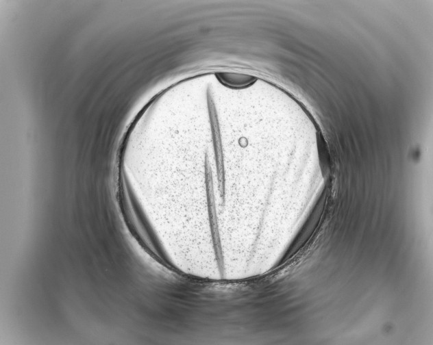 X0000098221531200805221638