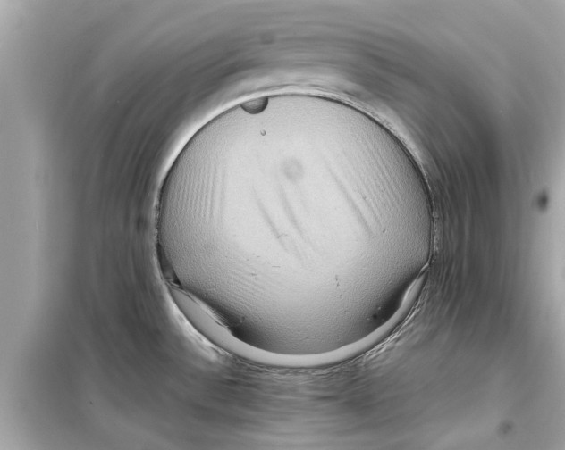 X0000098221532200805221638