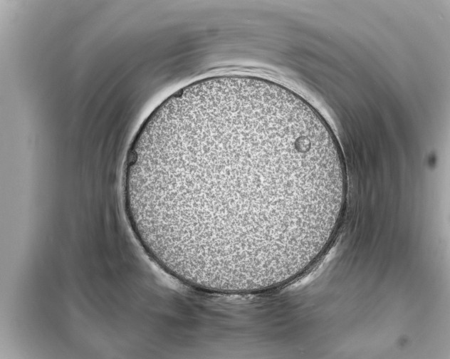 X0000098221533200805221638