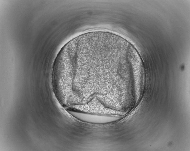 X0000098221534200805221638