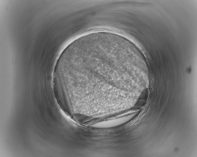 X0000098221535200805221638