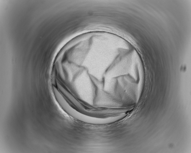 X0000098221536200805221638