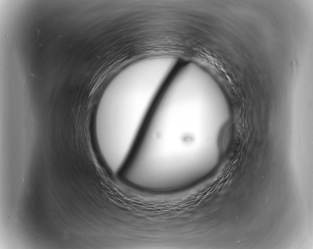 X0000098230001200804241211
