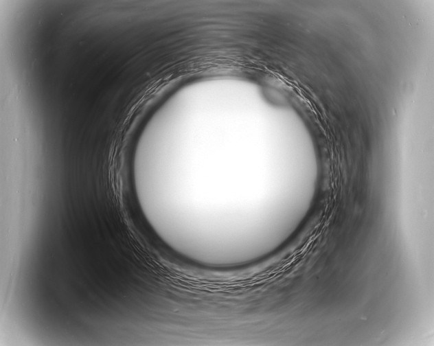 X0000098230002200804241211