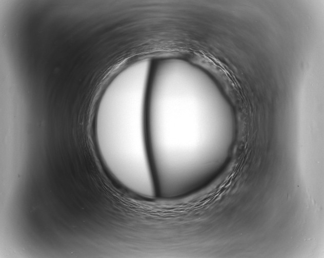 X0000098230003200804241211