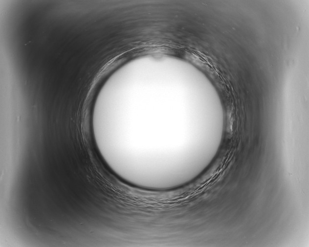 X0000098230004200804241211