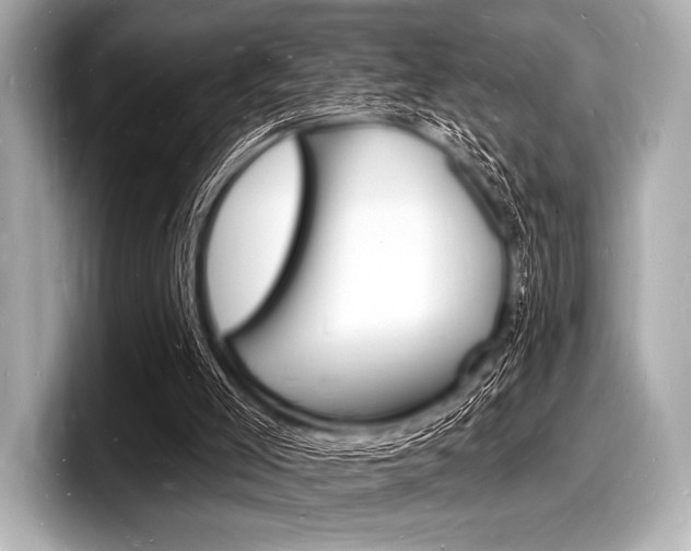 X0000098230005200804241211