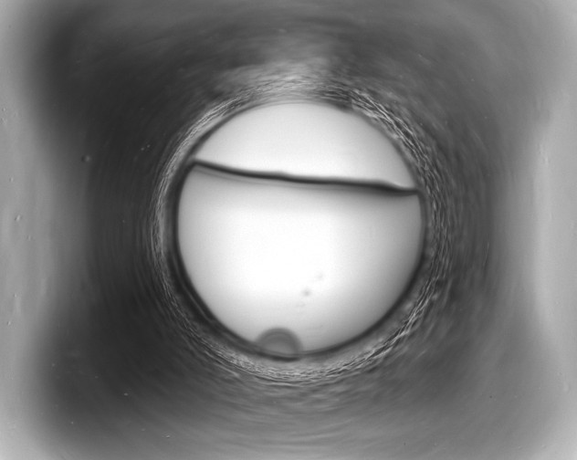 X0000098230006200804241211