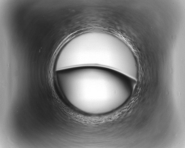 X0000098230007200804241211