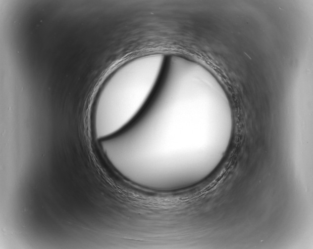 X0000098230008200804241211
