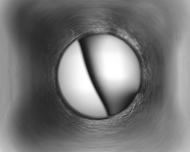 X0000098230009200804241211
