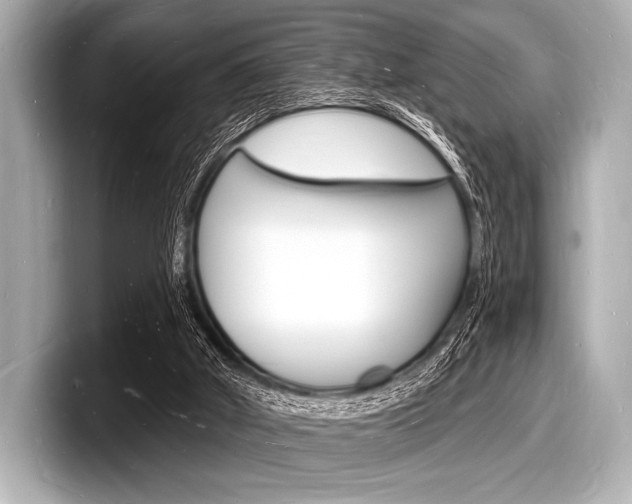 X0000098230010200804241211