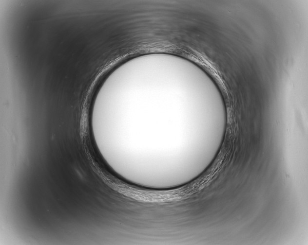X0000098230012200804241211