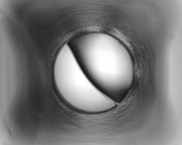 X0000098230013200804241211