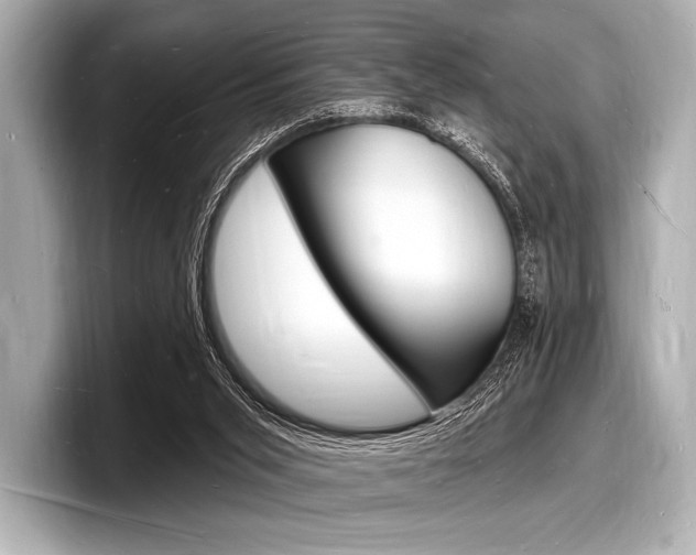 X0000098230015200804241211