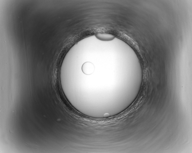 X0000098230018200804241211