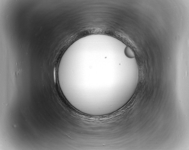 X0000098230022200804241211