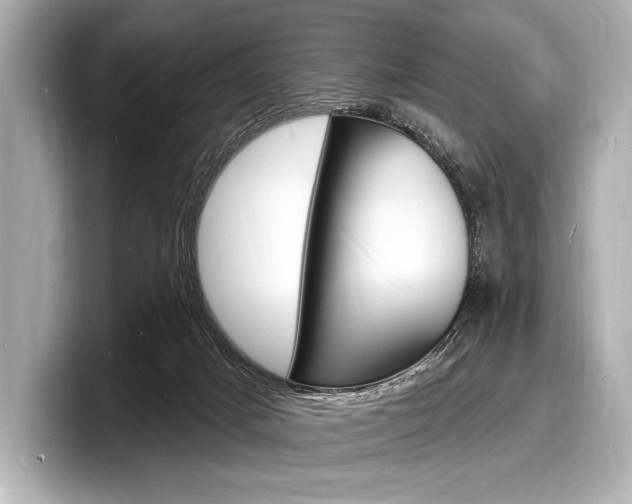 X0000098230025200804241211