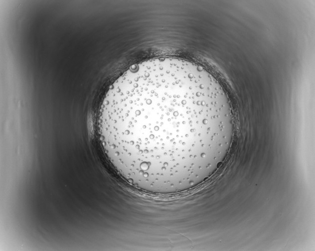 X0000098230026200804241211