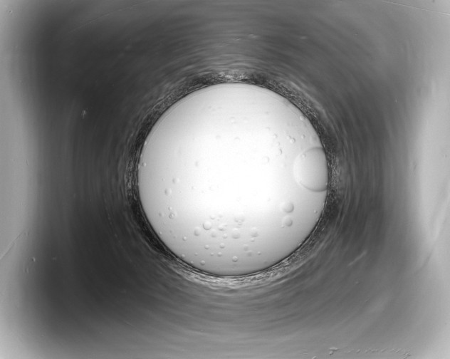 X0000098230030200804241210