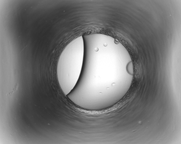 X0000098230034200804241210