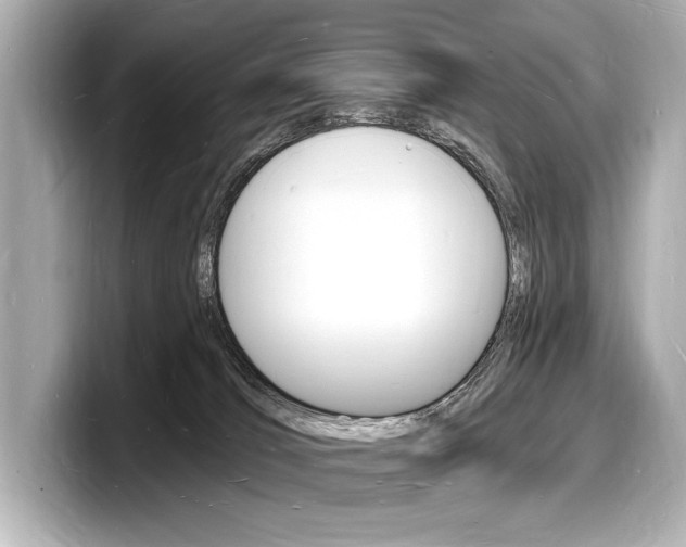 X0000098230036200804241210