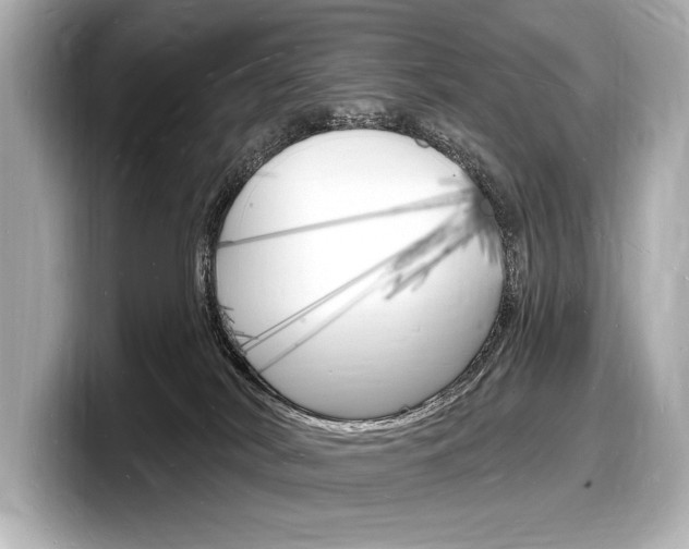X0000098230038200804241210