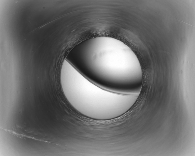 X0000098230039200804241210