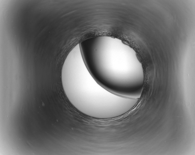 X0000098230041200804241210