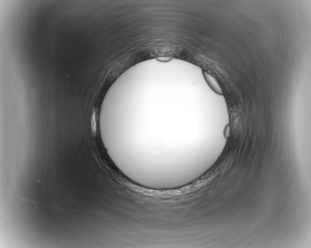 X0000098230042200804241210