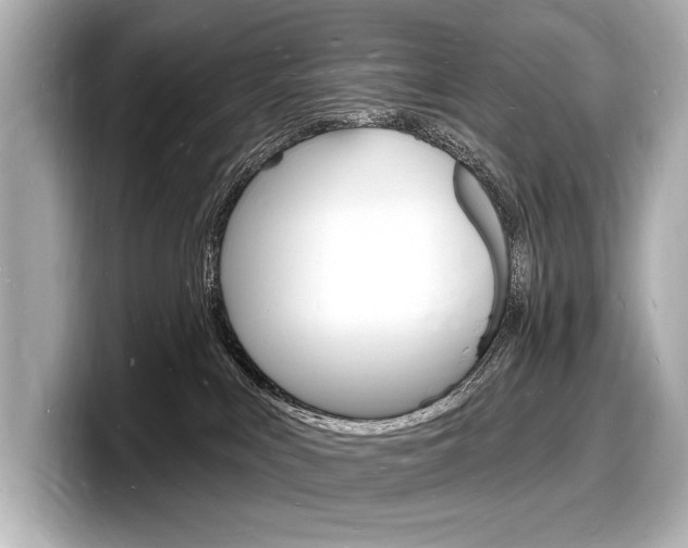 X0000098230043200804241210