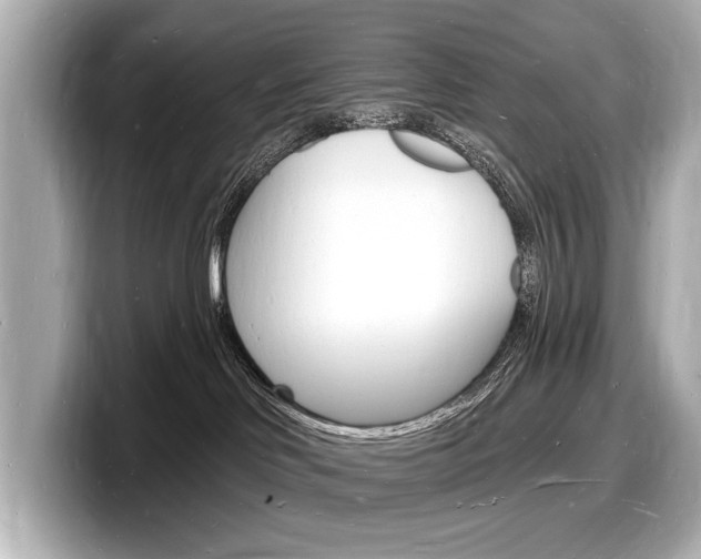 X0000098230046200804241210