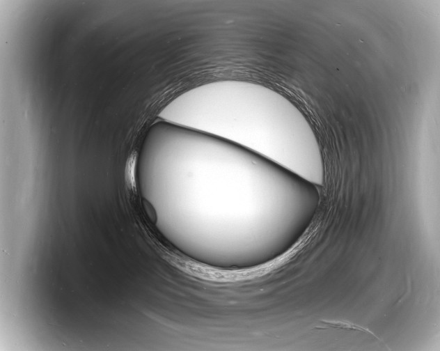 X0000098230047200804241210
