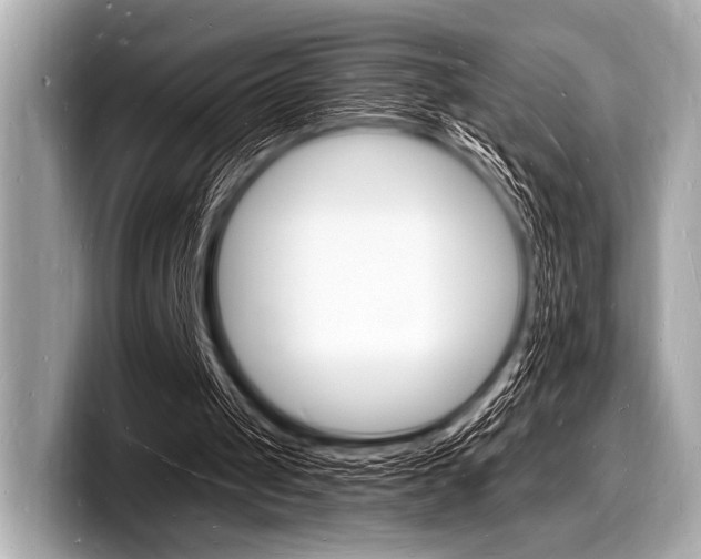 X0000098230049200804241210