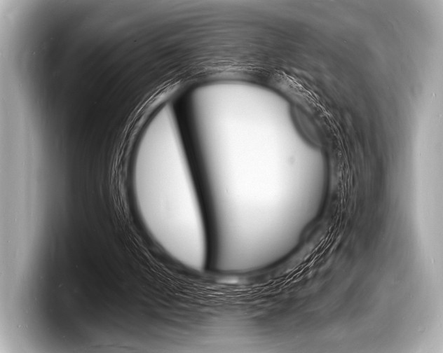 X0000098230050200804241210