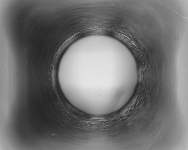 X0000098230051200804241210