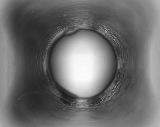 X0000098230052200804241210
