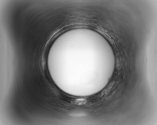X0000098230053200804241210