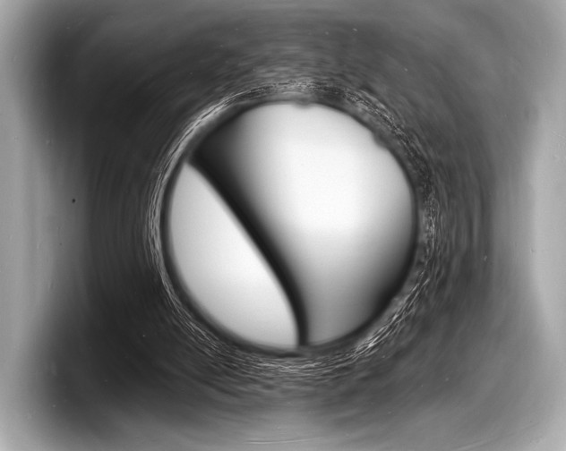 X0000098230054200804241210
