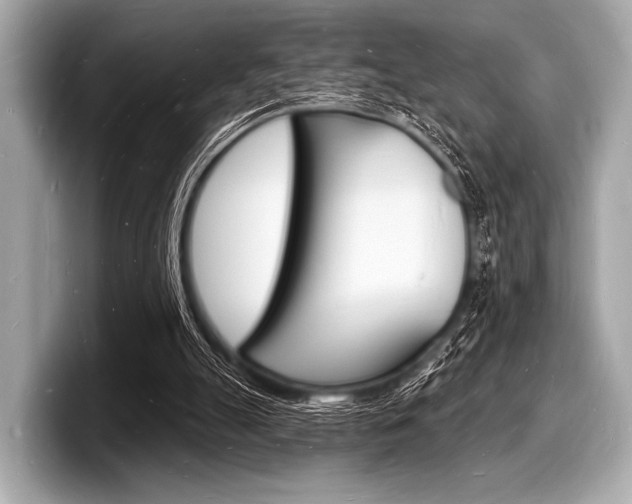 X0000098230055200804241210