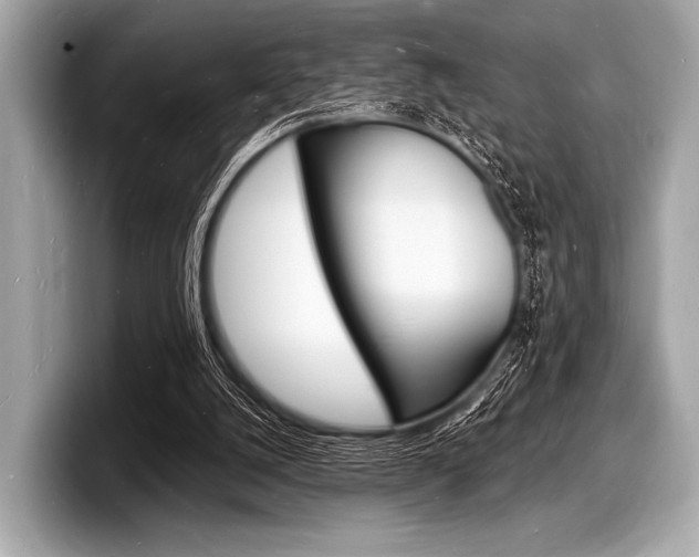 X0000098230056200804241210