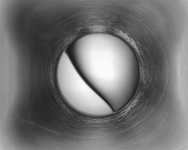 X0000098230057200804241210