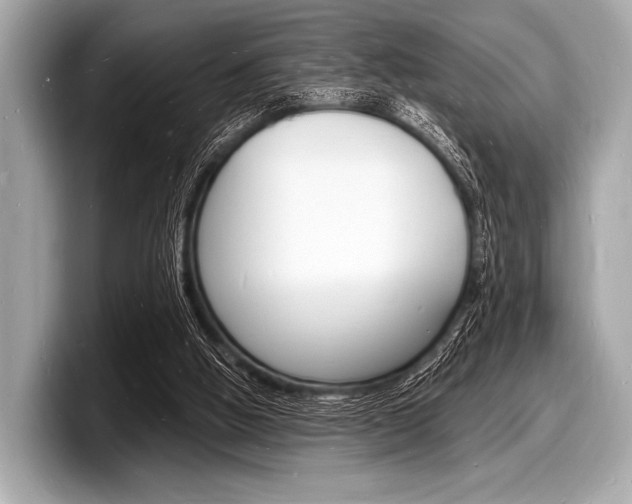 X0000098230058200804241210
